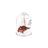 Kovea/Maxsun/Alocs/Sengoku Gas Canister 450g Screw