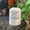 Kovea/Maxsun/Alocs/Sengoku Gas Canister 450g Screw