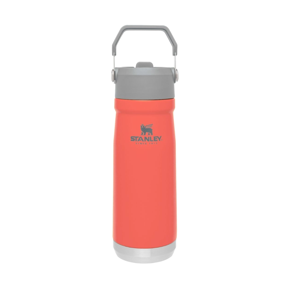 Stanley IceFlow Flip Straw Water Bottle - 17 oz - 09991