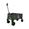 LNT Patirasa Foldable Wagon