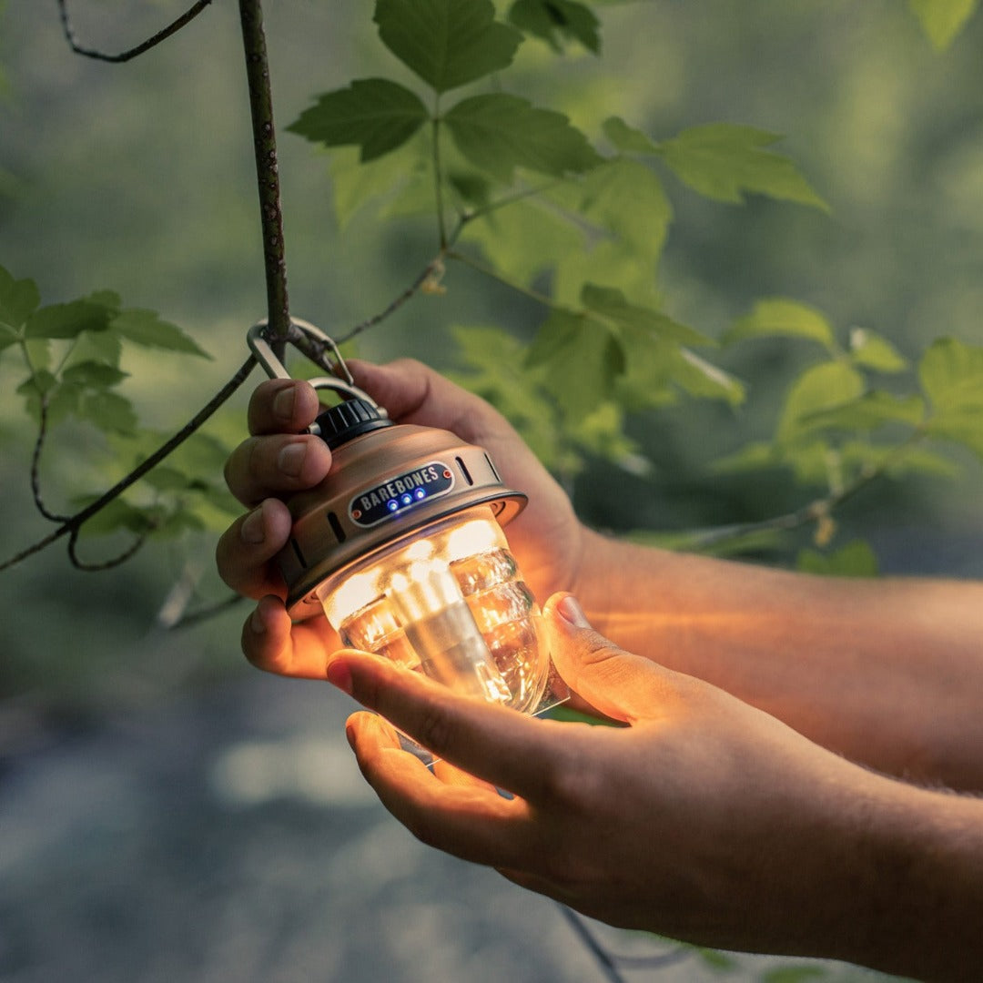 Barebones Beacon Lights Kraft Packaging